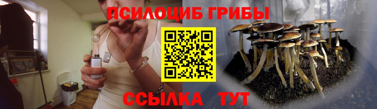 Псилоцибиновые грибы Cubensis  Вход с VPN  Миасс 